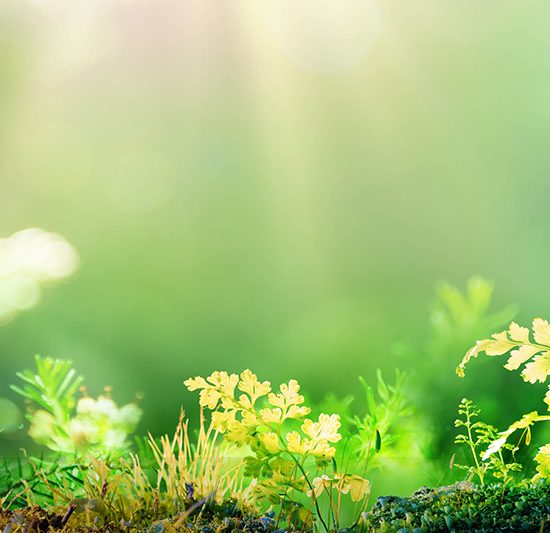 We are hiring - Specialist in Sustainable Procurement