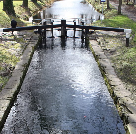 We are hiring - Associate Procurement Trainers