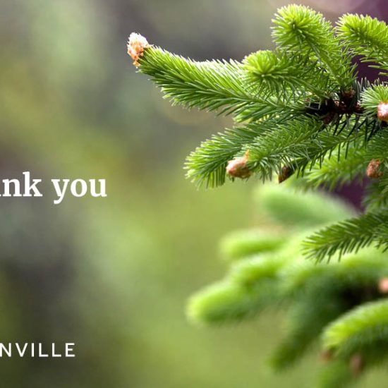 Season's Greetings from Greenville Procurement