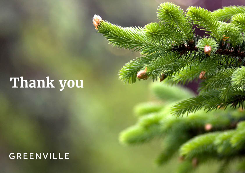 christmas tree branch