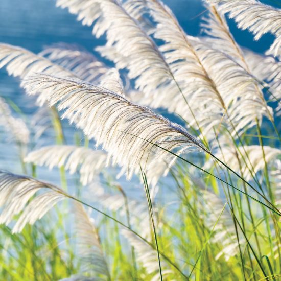 Procurement flexibility: A missed opportunity in the public sector